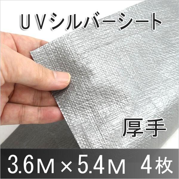 UV Vo[V[g 4000  3.6×5.4 4P