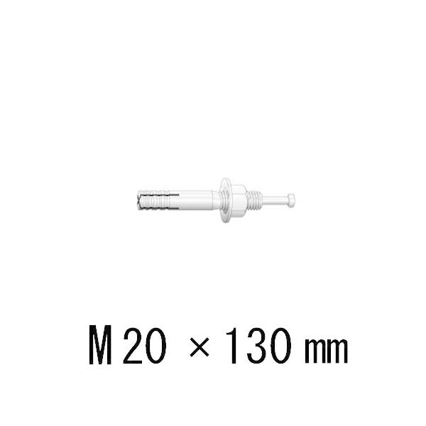 hubL [eBAJ[ C-D^Cv C-2013D ˂aM20 S130mm jJ 10{P