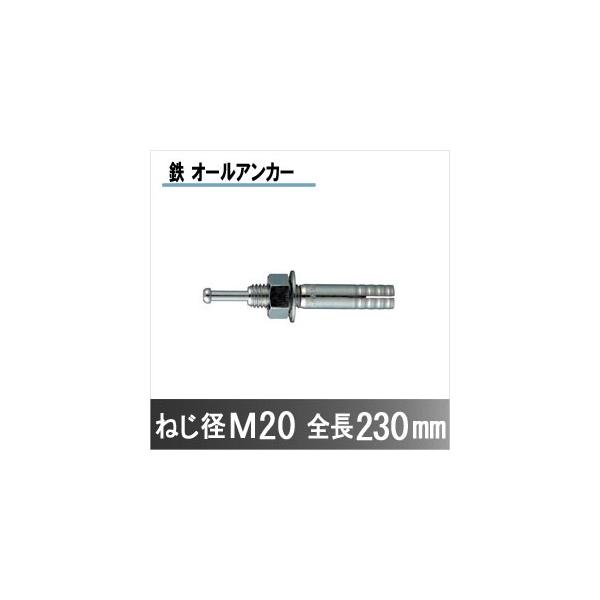 I[AJ[ C-2023 ˂aM20 S230mm S TR[eNm 10{