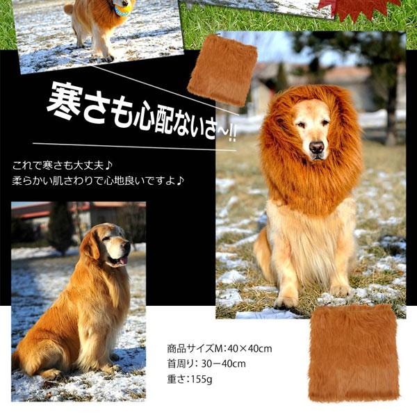 犬用 ライオン変身グッズ ネックウォーマー Sb B09 3a こまもの本舗 Yahoo 店 通販 Yahoo ショッピング