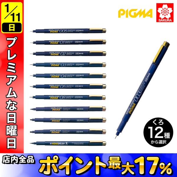 サクラクレパス 最大P21％☆爆買WEEK PIGMA ピグマ くろ くろ 線種 12