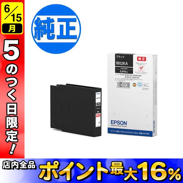 EPSON（エプソン） IB02KA ブラックインク IB02KA