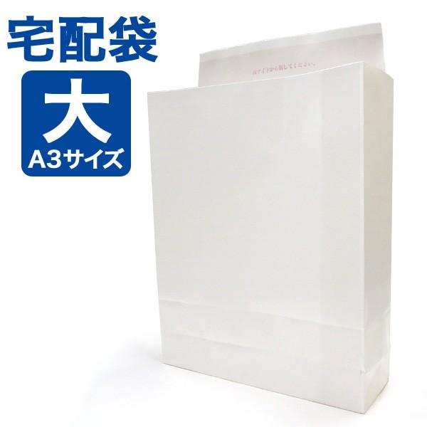 j͍őP21 z e[vt n  100 MT-001 ([J[i)