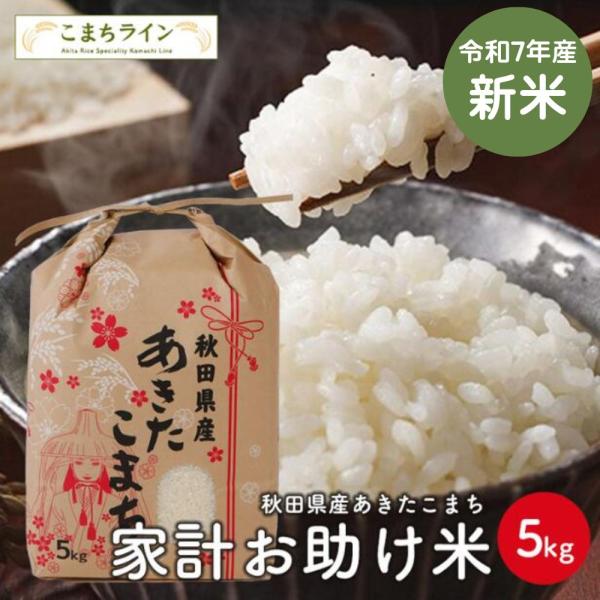 農家直送 秋田県産 令和６年 あきたこまち 8kg 特別栽培米 秋田小町 新米 農家直送 秋田県産 令和6年 あきたこまち 5kg 特別栽培米