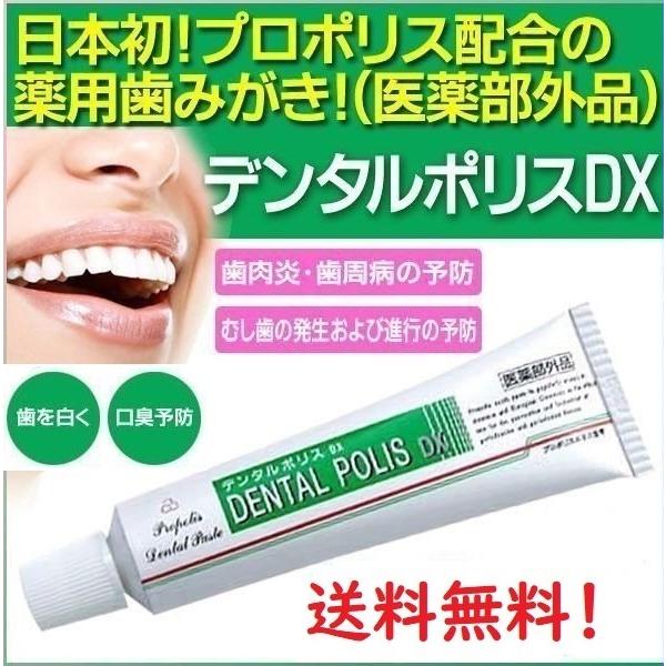 デンタルポリスDX 80g x6本セット ＋（携帯用８ｇ付） 歯磨き粉