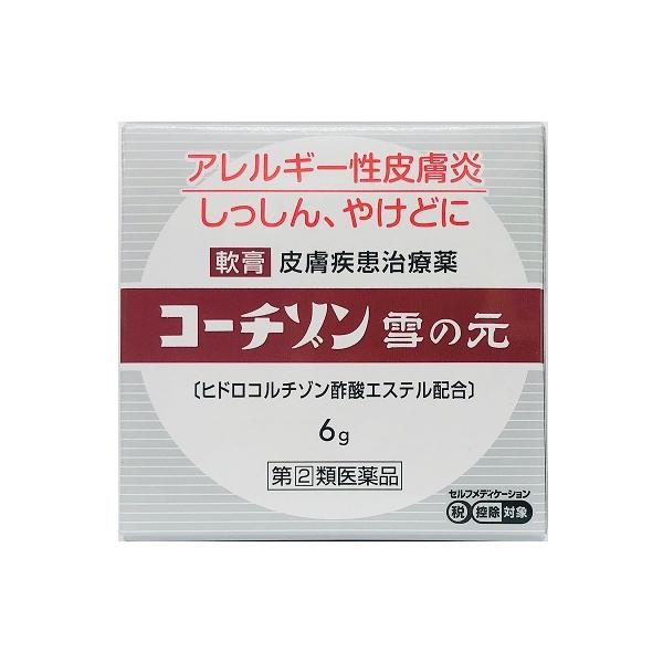 指定第２類医薬品  コーチゾン雪の元 6g （追跡番号付き対応）
