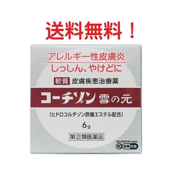 指定第2類医薬品 コーチゾン雪の元 6g　【安心の追跡番号付き】 ｋ