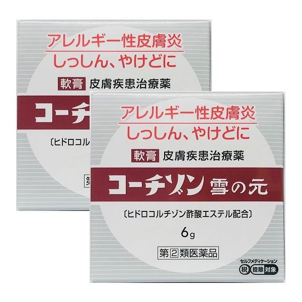 指定第２類医薬品  コーチゾン雪の元 6gｘ２個 セット  皮膚治療薬  追跡番号付 k