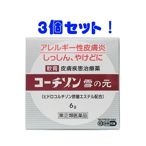 指定第２類医薬品  コーチゾン雪の元 6gｘ３個 セット 皮膚治療薬 送料無料 追跡番号付きk