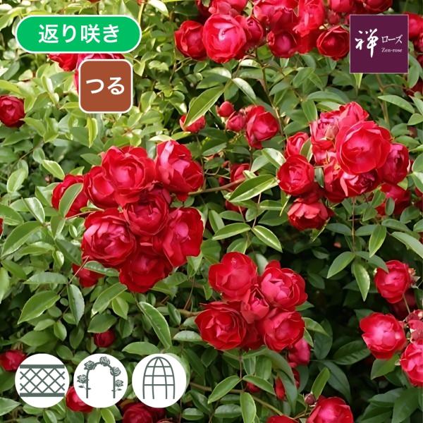 komatsugarden-store_2-o26-zen