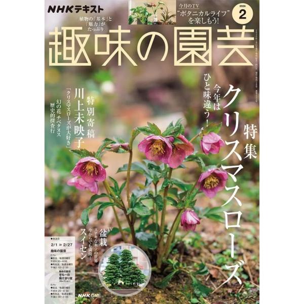 NHK 趣味の園芸 2026年 2月号 書籍 : コマツガーデン Yahoo!店 - 通販