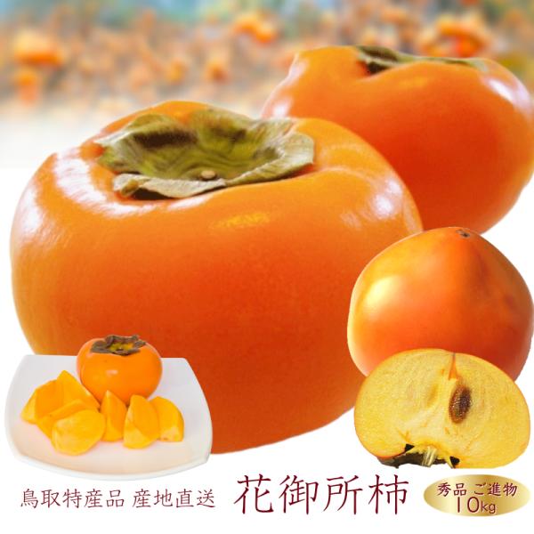 花御所柿 10kg 秀品 ご進物用 （36〜50個前後） M--3L 柿 鳥取