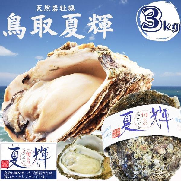 最も信頼できる 鳥取県産 タグ付きブランド天然岩がき 夏輝 約3kg詰め 5個〜10個程度 岩ガキ 岩牡蠣 カキ 送料無料 生食用 牡蠣 