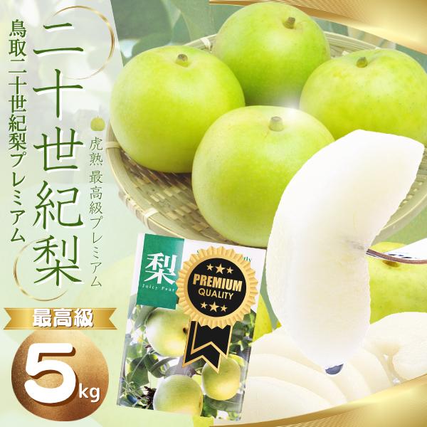 梨 二十世紀梨 プレミアム Special 鳥取県産 20世紀梨 ナシ なし 虎熟 