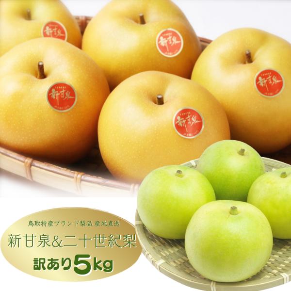 鳥取産新甘泉梨12玉5kg✖️２箱セット！ 楽天市場】鳥取県産 梨 新甘泉 （しんかんせん） 秀品 5kg 10