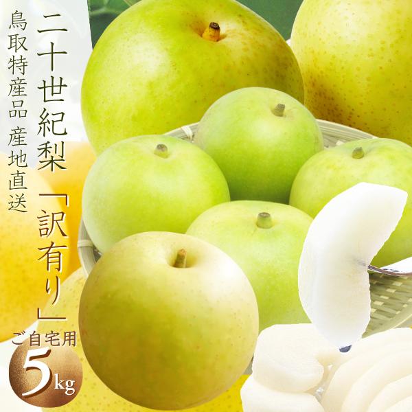 梨 二十世紀梨 5kg（S-３L 12-28個前後 ）梨 なし ナシ 鳥取県産 (ご自宅用 訳あり）和梨 産地直送