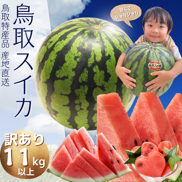 スイカ 西瓜 すいか 鳥取 鳥取県北栄町産（旧大栄町）9キロ以上