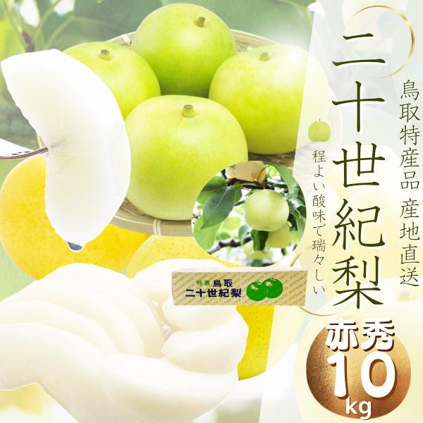 梨 二十世紀梨(ご贈答用)10kg詰 20世紀梨 なし ナシ(L-4L 24 梨 二十世紀梨(ご贈答用)10kg詰 20世紀梨 なし ナシ(L-4L 24