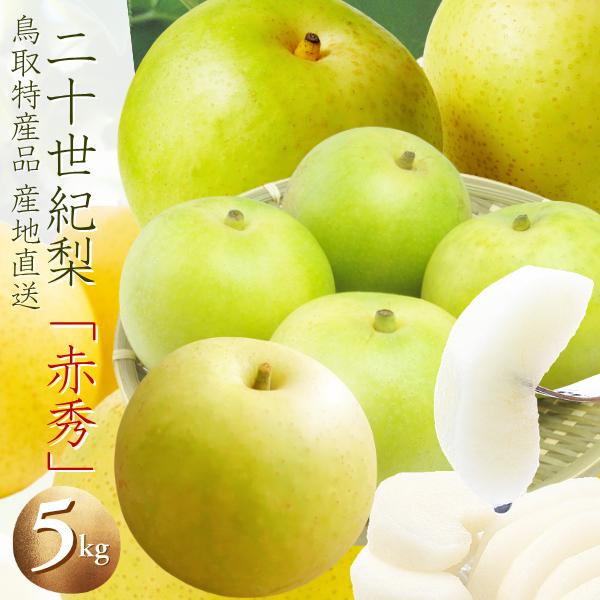 梨 二十世紀梨 20世紀梨 ご贈答用 5kg 赤秀 梨 なし ナシ（L-4L  10-19玉前後入）鳥取県産  送料無料