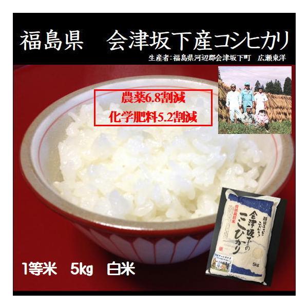 特別栽培米 令和7年産 会津坂下産こしひかり（コシヒカリ） 減農薬・減化学肥料 5kg