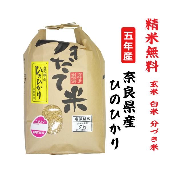 ヒノヒカリ 5kg - 玄米の人気商品・通販・