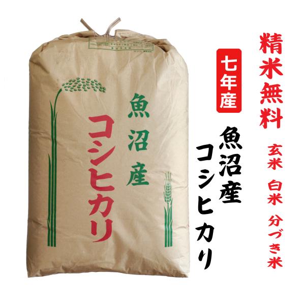 魚沼産コシヒカリ30kg 楽天市場】魚沼産 こしひかり 30kgの通販