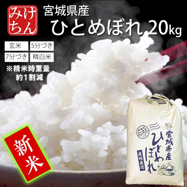 送料無料】 令和6年産 宮城県産 ひとめぼれ 20kg 【玄米】⑥