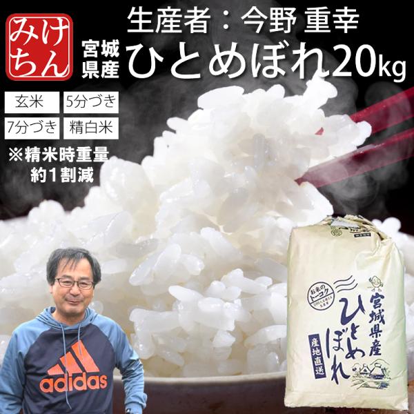 ひとめぼれ 新米 お米 米 20kg 令和7年産 送料無料 宮城県産 生産者