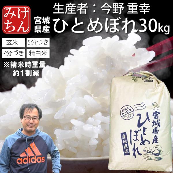ひとめぼれ お米 米 30kg 令和7年産 送料無料 宮城県産 生産者 今野