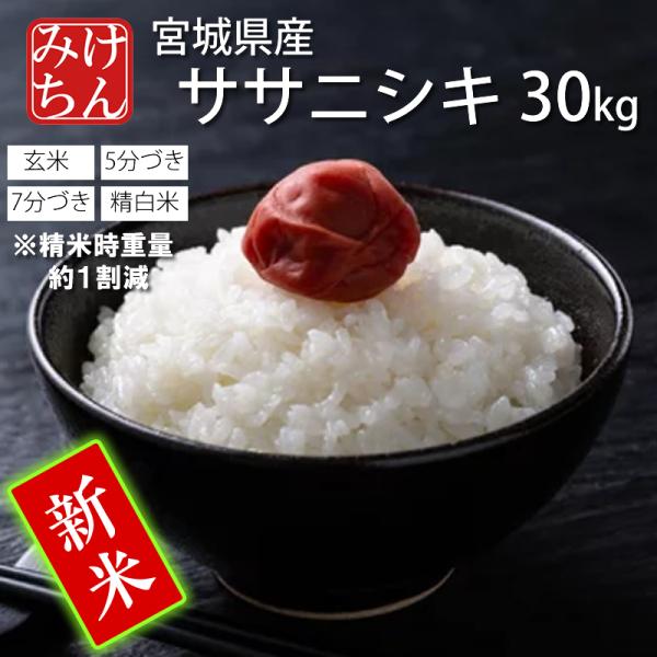 木の実ページ 令和6年産 ササニシキ 1等米 『精米無料30kg発送』 木の実ページ 令和6年産 ササニシキ 1等米 『精米無料30kg発送