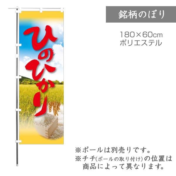 ̂ڂ Ђ̂Ђcƞe 1 i F0081