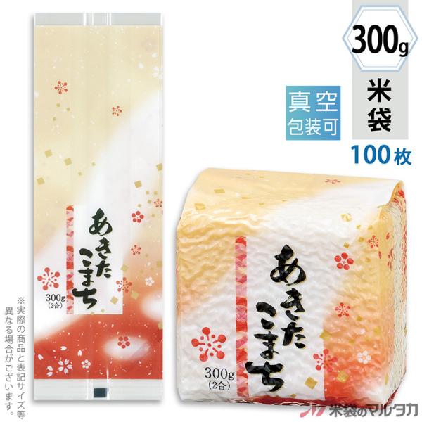 đ ^󏬑܃K[bg ~ ܂ Ԃ̂ 300gp 100Zbg VGN-408