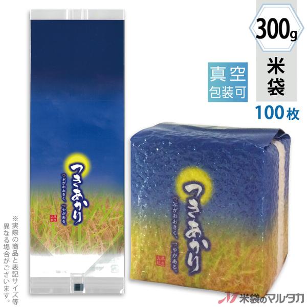 đ ^󏬑܃K[bg ~   300gp 100Zbg VGN-448