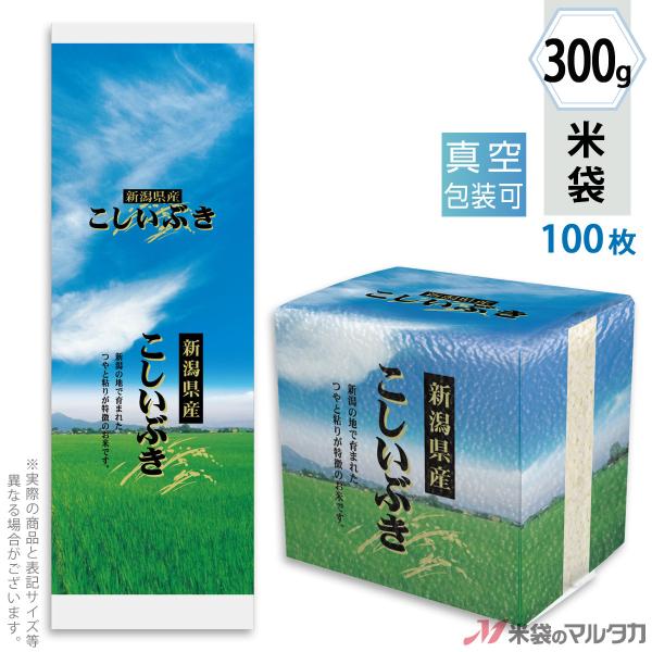 đ ^󏬑܃K[bg ~ VYԂ  300gp 100Zbg VGN-450