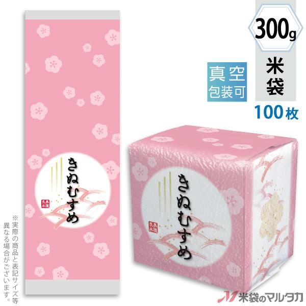 đ ^󏬑܃K[bg ~ ʂނ ڂ~ 300gp 100Zbg VGN-458