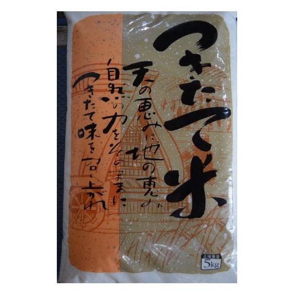 生活応援価格！ 九州産１００％ オリジナルブレンド米 つきたて米 １０ｋｇ 送料無料