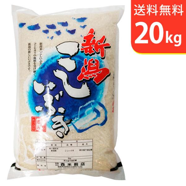 こしいぶき 【送料無料(北海道・九州・沖縄除く)】令和7年産 新潟上越