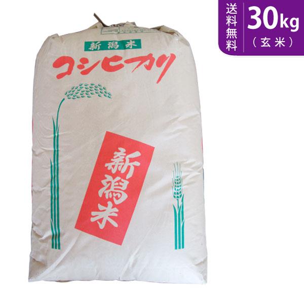 コシヒカリ 【送料無料(北海道・九州・沖縄除く)】令和7年産【玄米