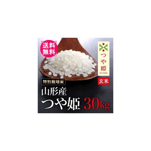 新米 令和2年産 山形産つや姫 二番米 玄米 30kg 米 お米 つや姫 30kgのおすすめ人気商品一覧 通販 - Yahoo!ショッピング