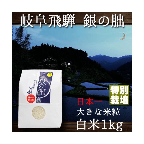 銀の朏 岐阜県飛騨 いのちの壱 1kg 特別栽培米 ぎんのみかづき
