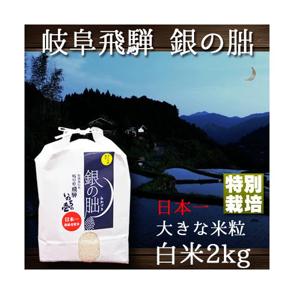 新米予約 銀の朏 岐阜県飛騨 いのちの壱 2kg 特別栽培米 ぎんの