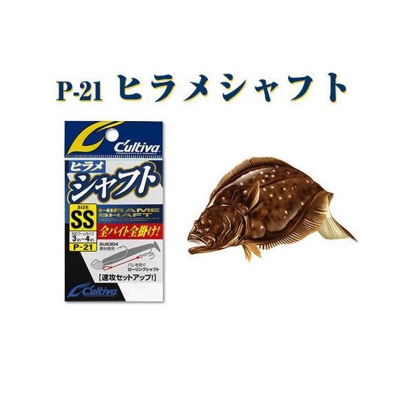 y[։zJeBo@qVtg P-21