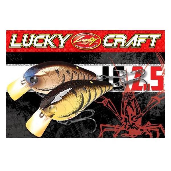 LUCKY CRAFT（ラッキークラフト） LC 2.5【メール便可】 : 米源釣具店