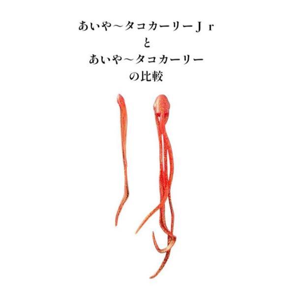 komegen_110004976_2_d_20241221121319