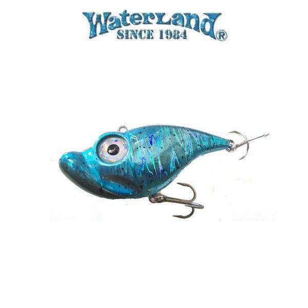 WaterLand（ウォーターランド） ぎょろっち 16g【メール便可】 : 米源