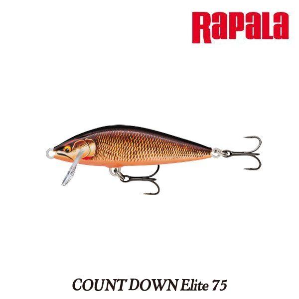 RaPaLa（ラパラ） カウントダウンエリート CDE75 2025年新色【メール便