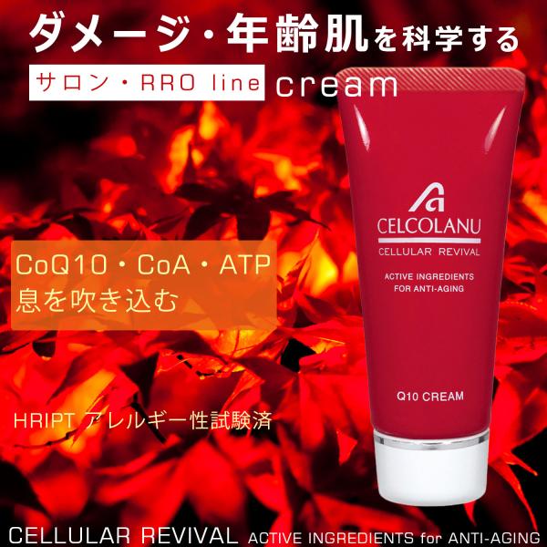 クリーム CoQ10クリーム 補酵素 コエンザイム ATP 肌活性 エイジング