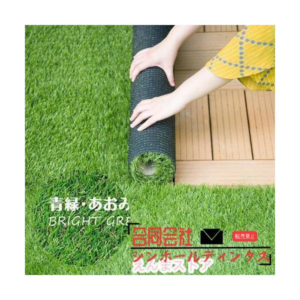 人工芝 ロール 1m×10m 芝丈30mm ピン22本つき 4色立体感 透水穴つき リアル ふかふか 高品質 高密度 色落ちにくい 抜けにくい 復元性 立体感　 青緑