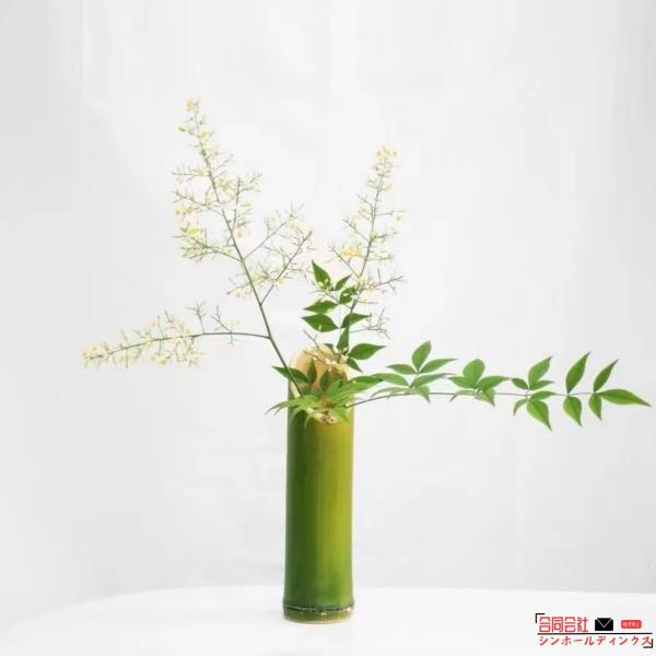 竹花瓶 竹 造花 斜めの花瓶 根の花瓶 花植物花瓶 3個 竹植木鉢 小さな