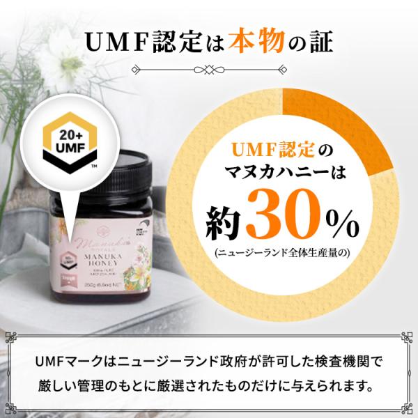 賞味期限：2026年11月30日) はちみつ マヌカロイヤル 250g UMF20+ 2個